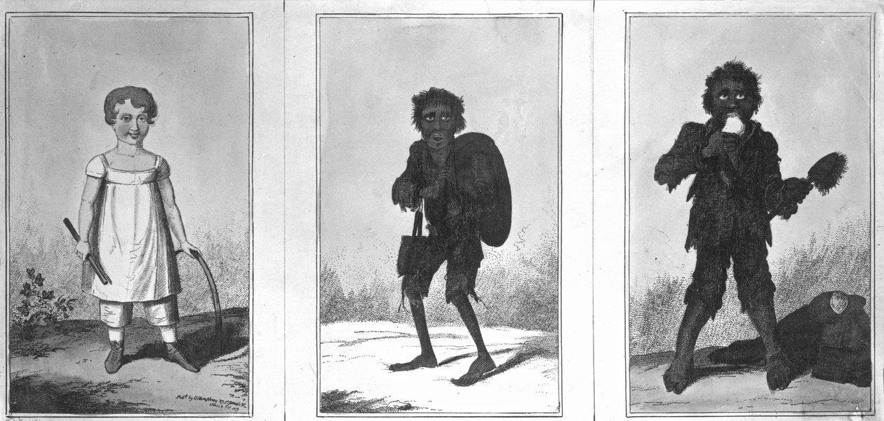 漂亮的鲍勃，可怜的鲍勃，班迪鲍勃，1819年 作者 乔治·克鲁克申克