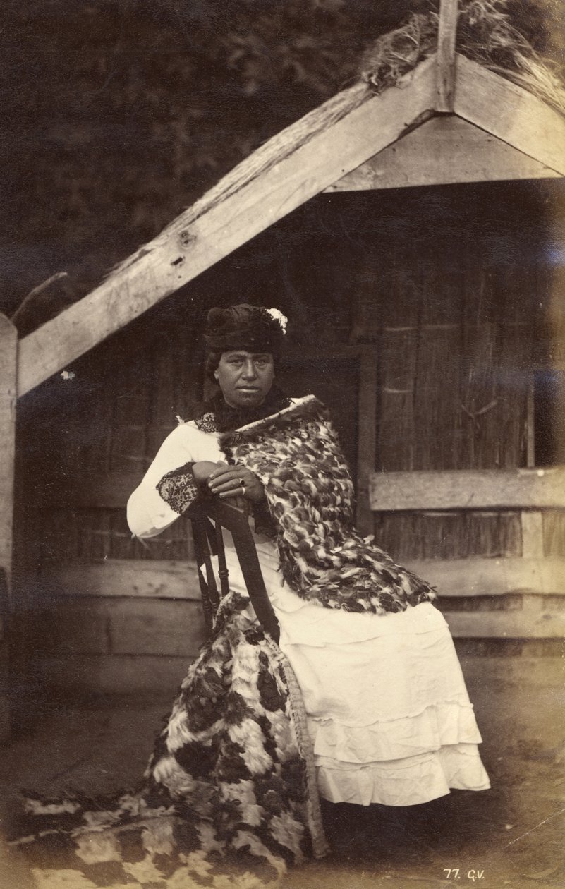 1885年，Kate，Te Wairoa指南（蛋白印刷品） 作者 乔治·多布森·瓦伦丁