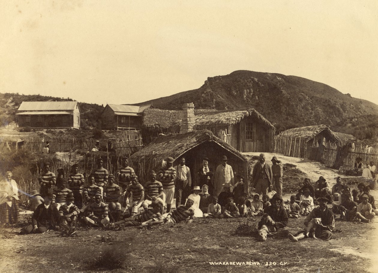 Whakerewarewa，1889年或1890年（蛋白印刷品） 作者 乔治·多布森·瓦伦丁