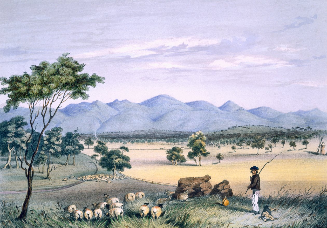 Lynedoch Valley望向巴罗莎山脉，来自“南澳大利亚画报”，于1847年出版（手工彩色雕刻） 作者 乔治·法国·安加斯