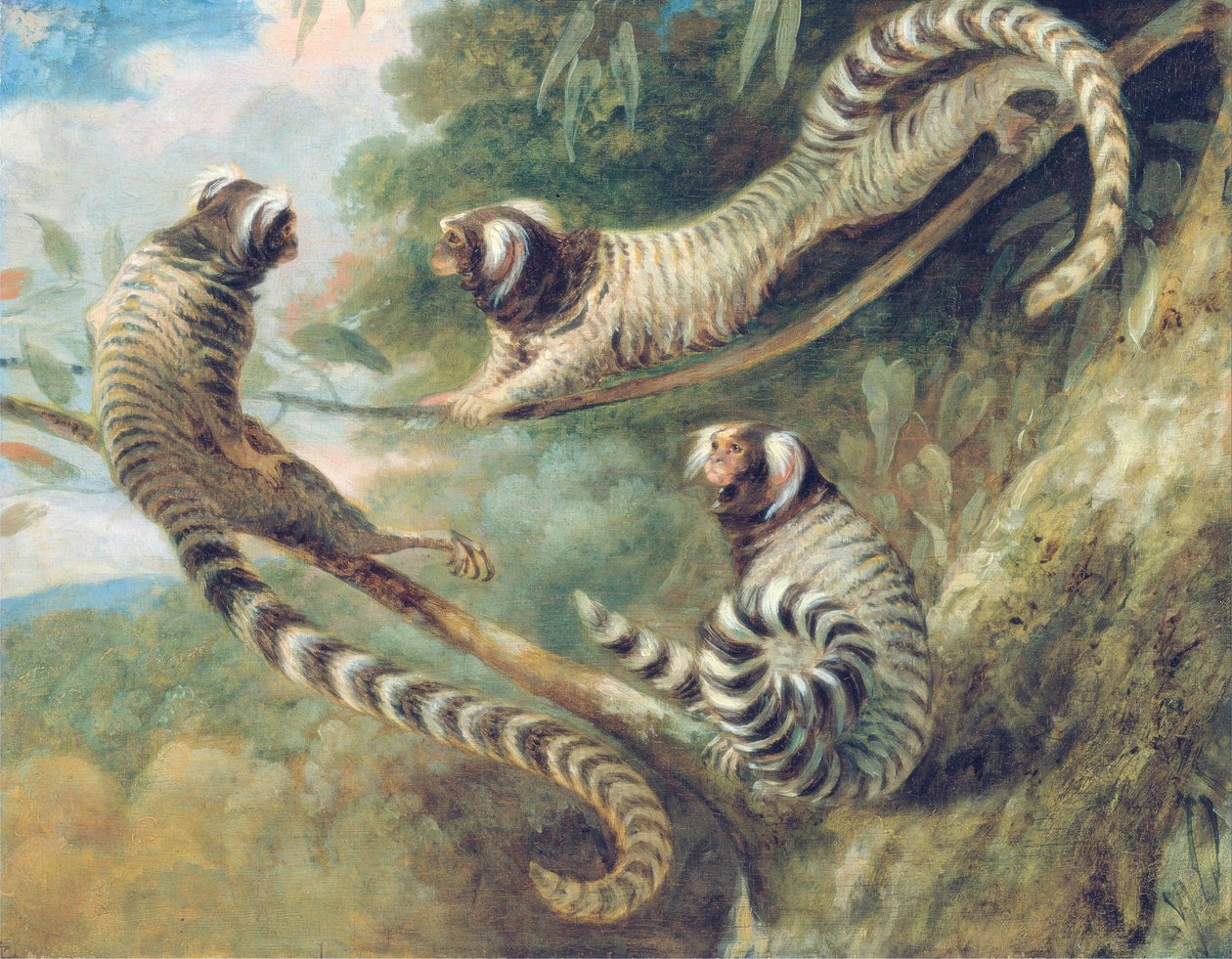 三种态度的Mar猴 作者 乔治·加拉德