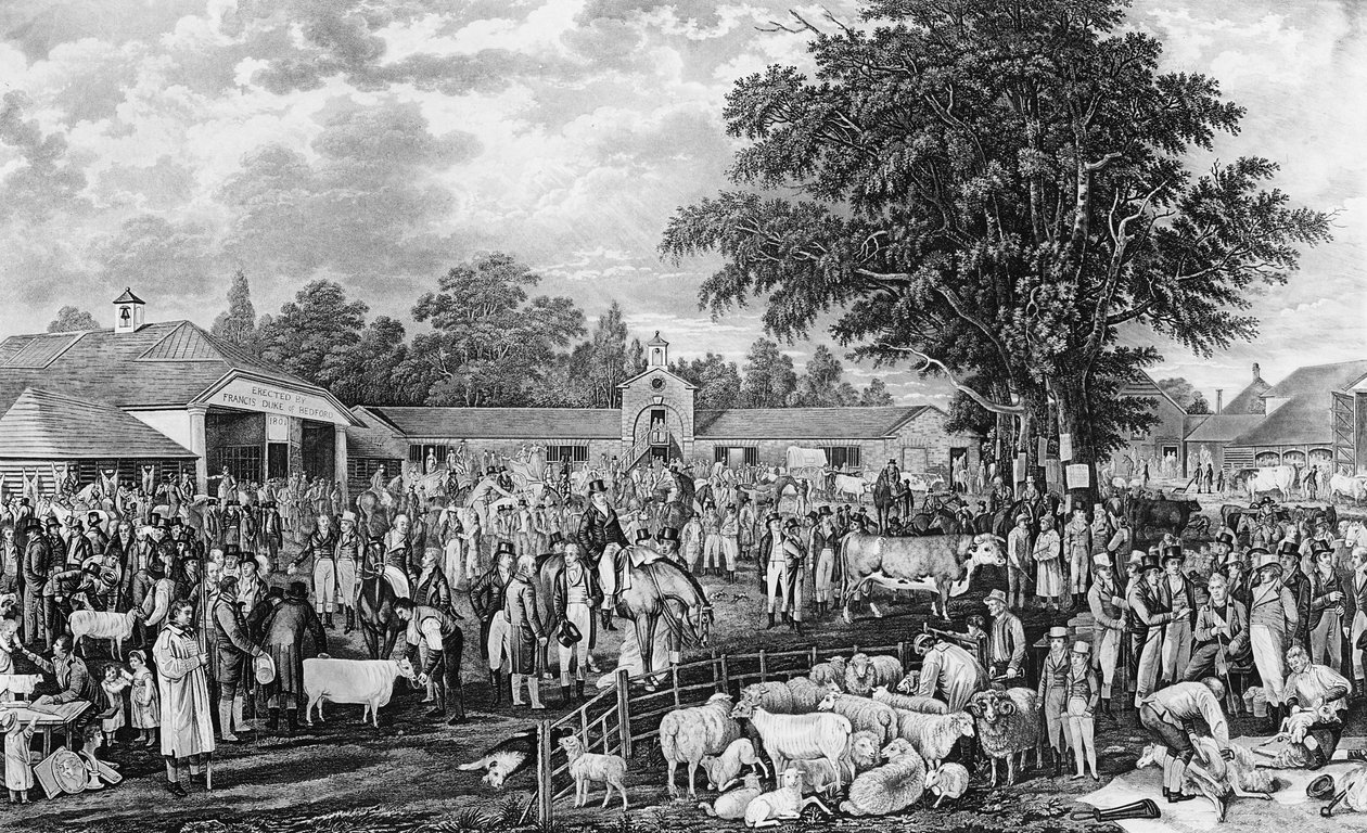 Woburn Sheepshearing，由Thomas Morris雕刻，1811年 作者 乔治·加拉德
