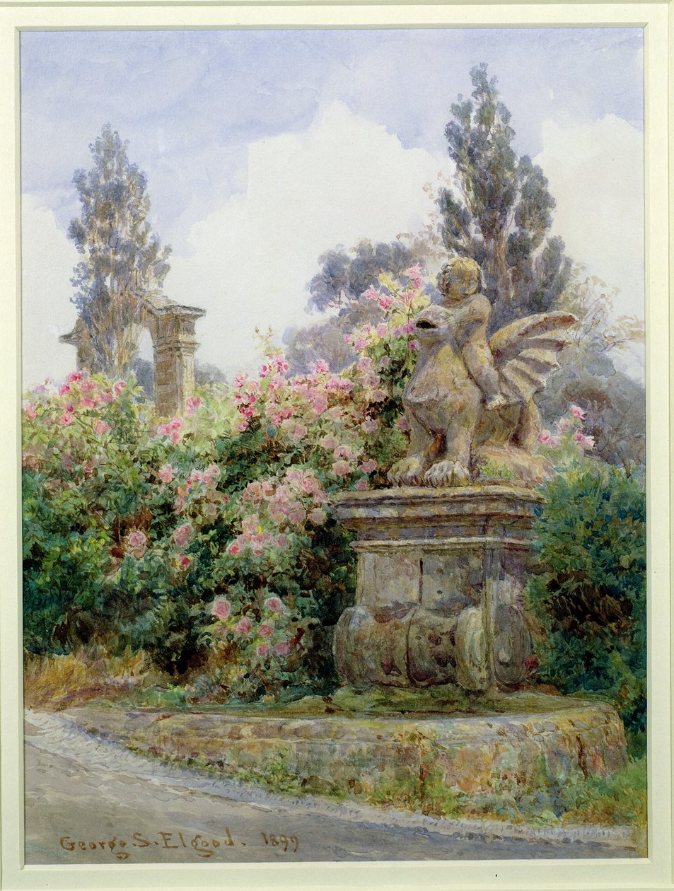 中国玫瑰，Villa Imperiali，热那亚 作者 乔治·塞缪尔·埃尔古德