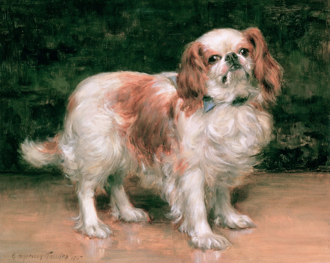 国王查尔斯猎犬，1907年 作者 乔治·谢里登·诺尔斯