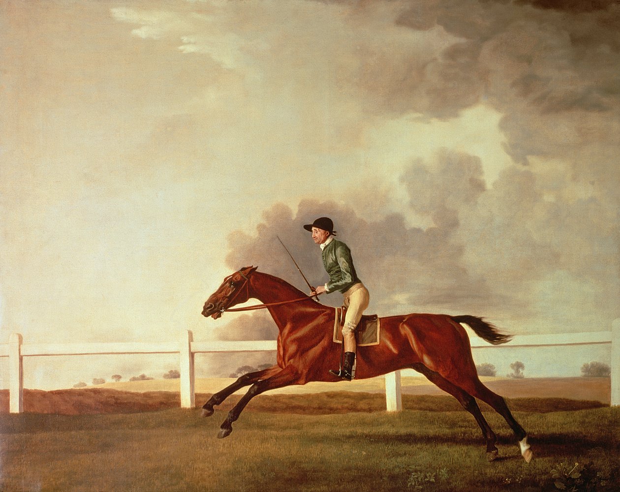 Bay Malton与John Singleton Up，c.1767 作者 乔治·斯塔布斯