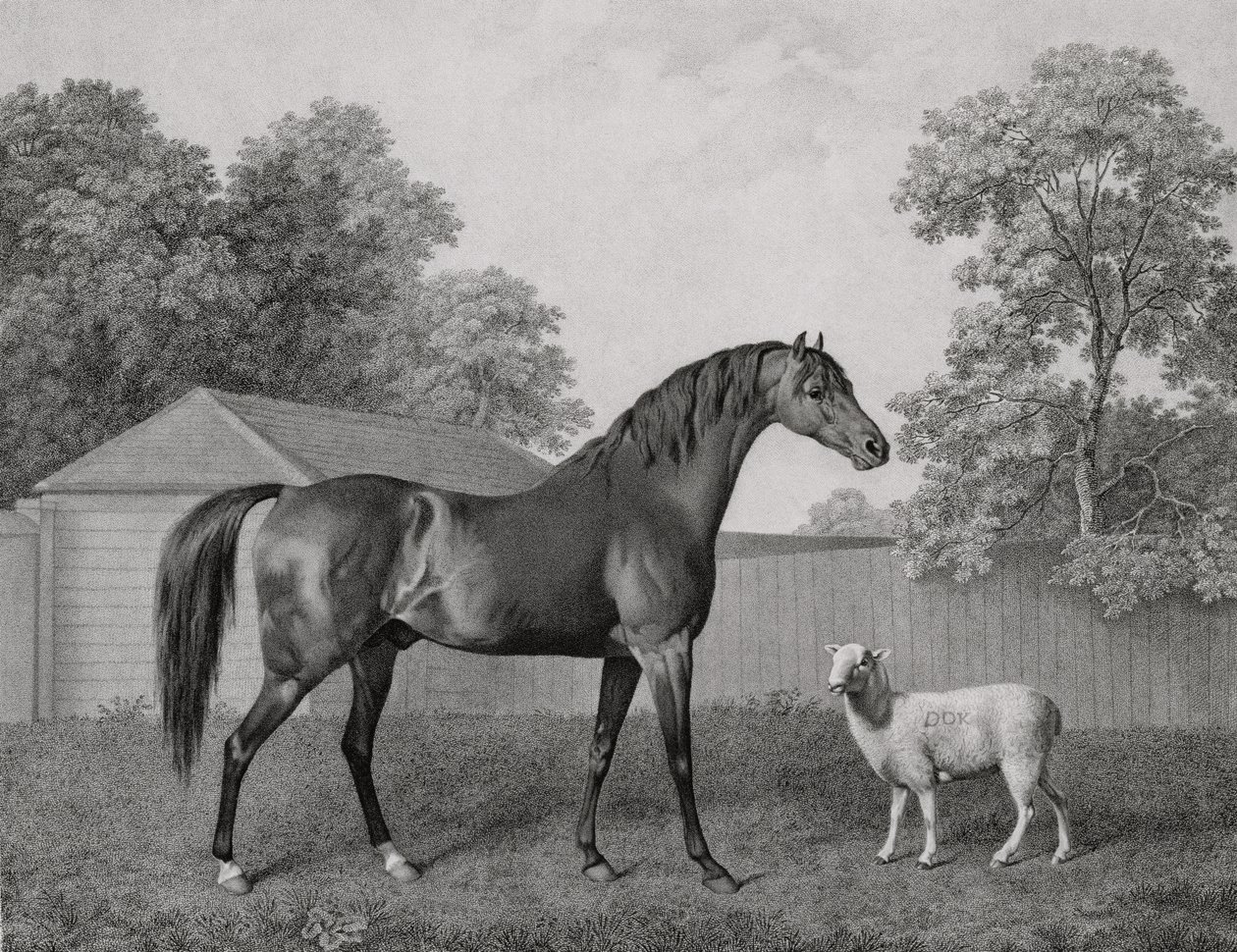 Dungannon，由George Townley Stubbs（1756-1815）酒吧刻。 1794 作者 乔治·斯塔布斯