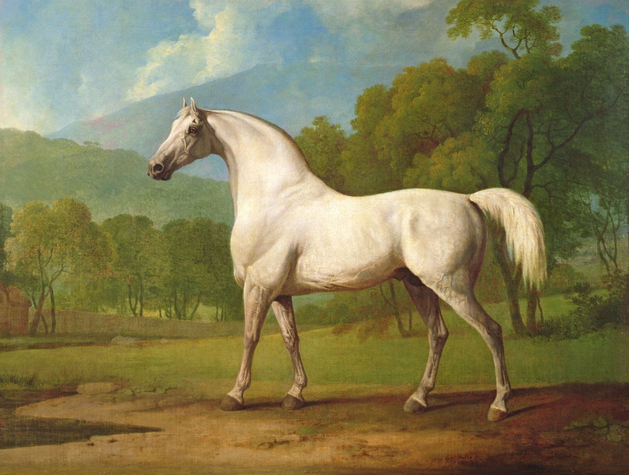Mambrino，1790 作者 乔治·斯塔布斯