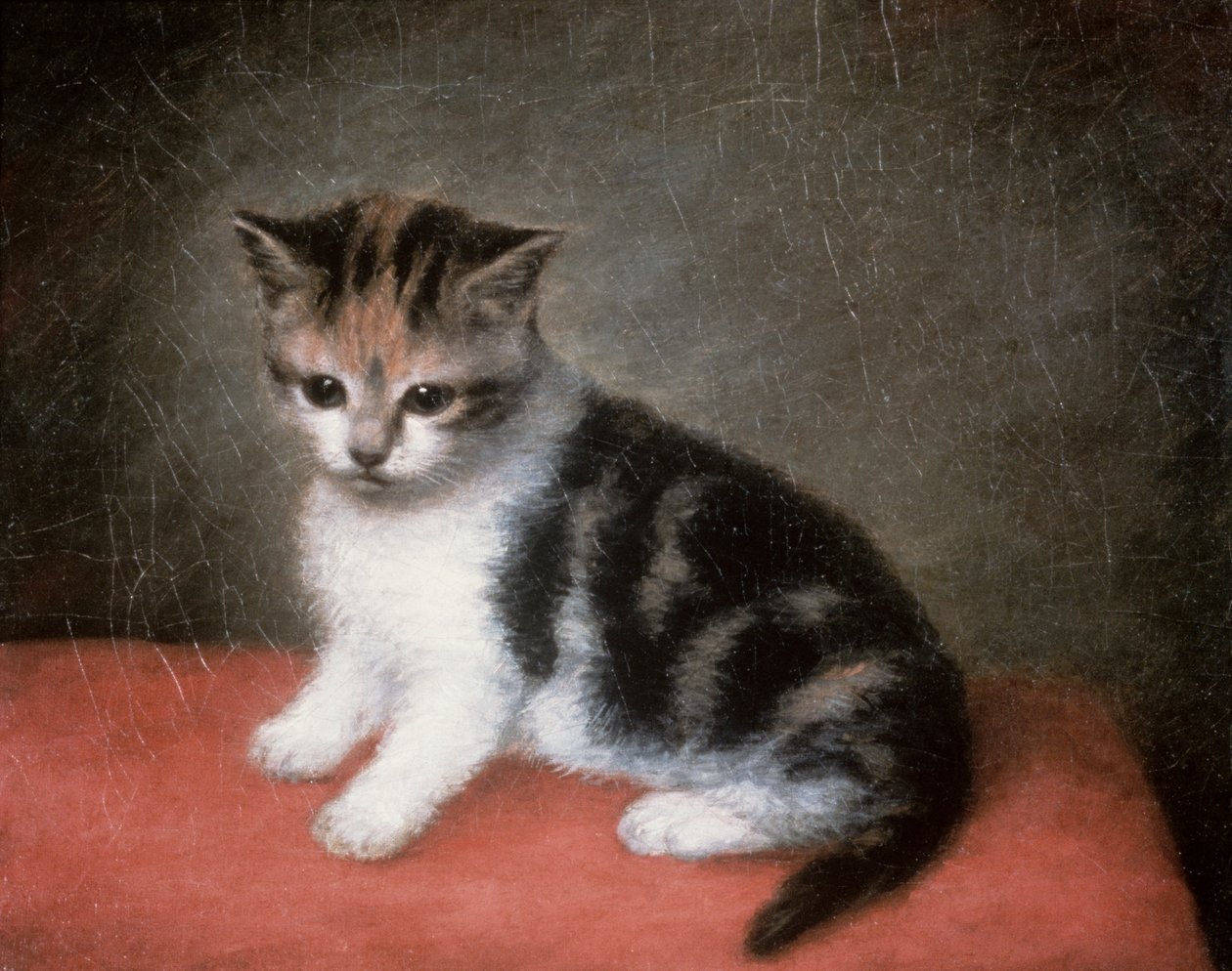 安·怀特小姐的小猫，1790年 作者 乔治·斯塔布斯