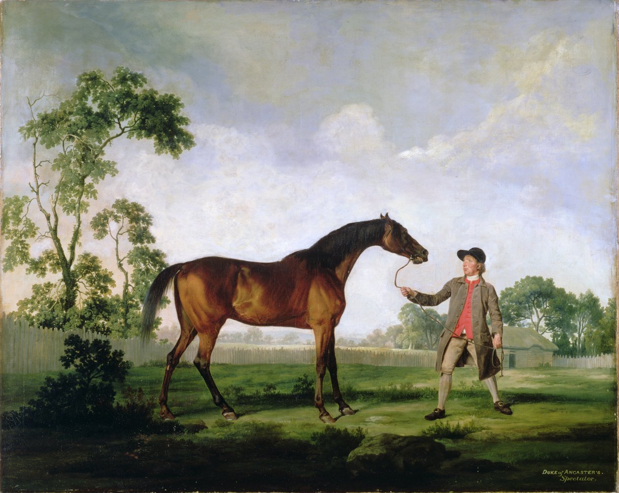 Ancaster公爵的海湾种马观众，由新郎举行，c.1762-5 作者 乔治·斯塔布斯
