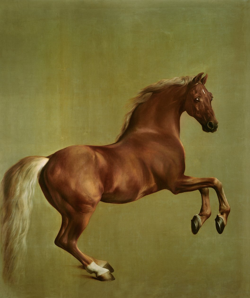 Whistlejacket，1762年 作者 乔治·斯塔布斯