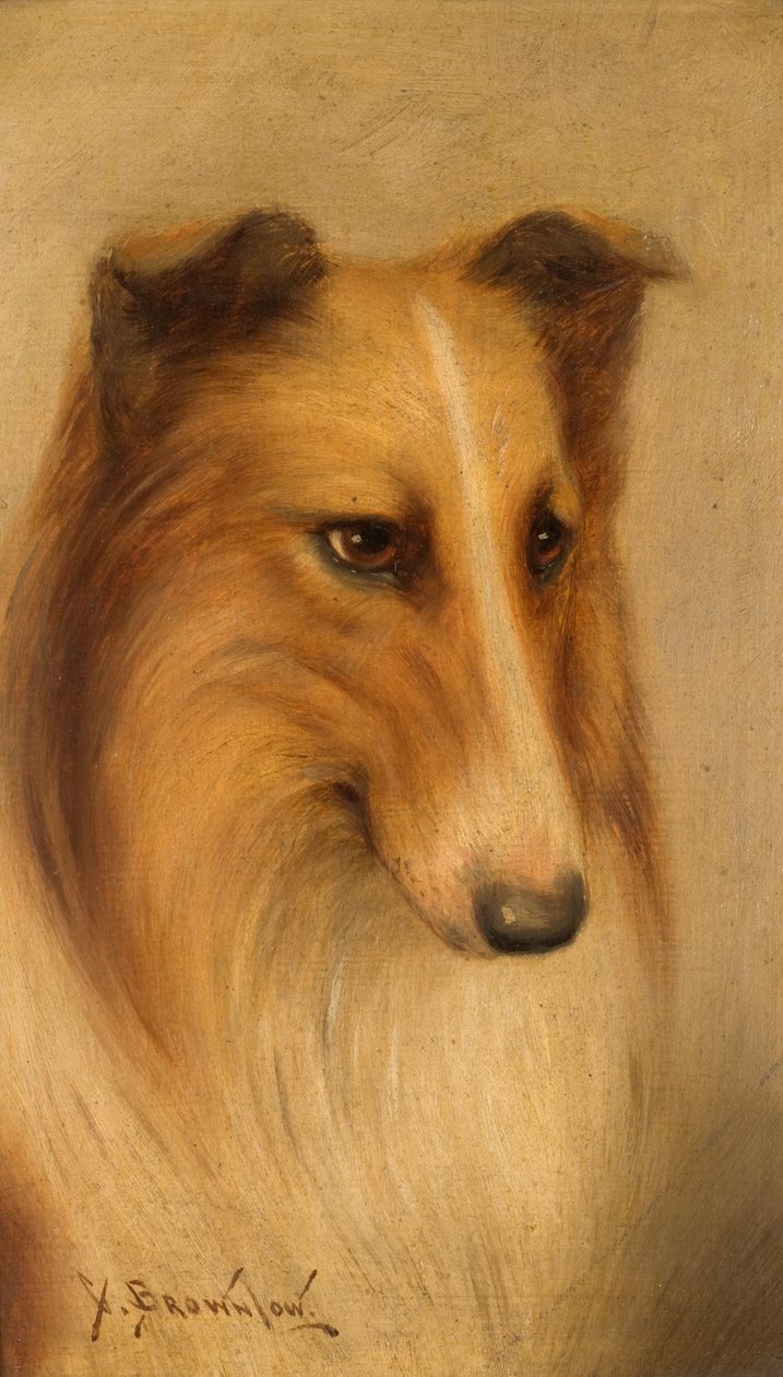 牧羊犬油在船上 作者 乔治·华盛顿·布朗洛