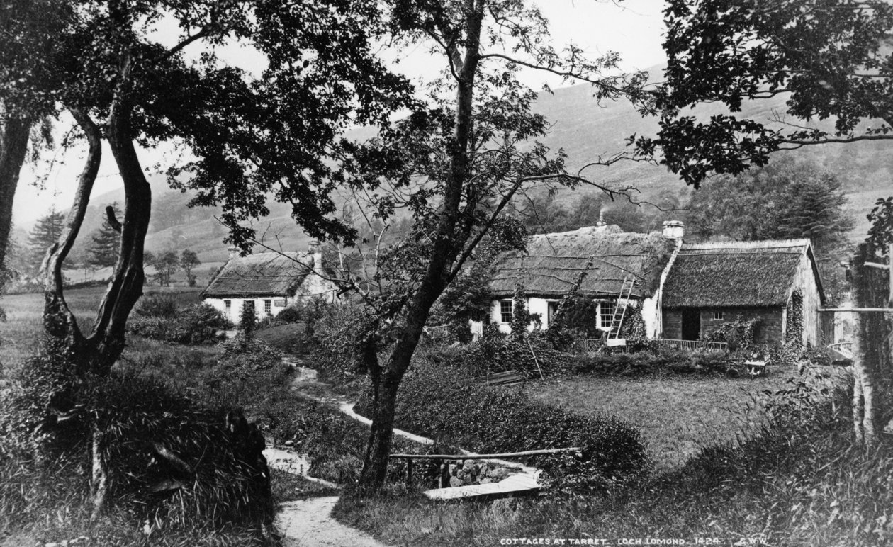 Tarbet，Loch Lomond，1860-80号的小屋 作者 乔治·华盛顿·威尔逊