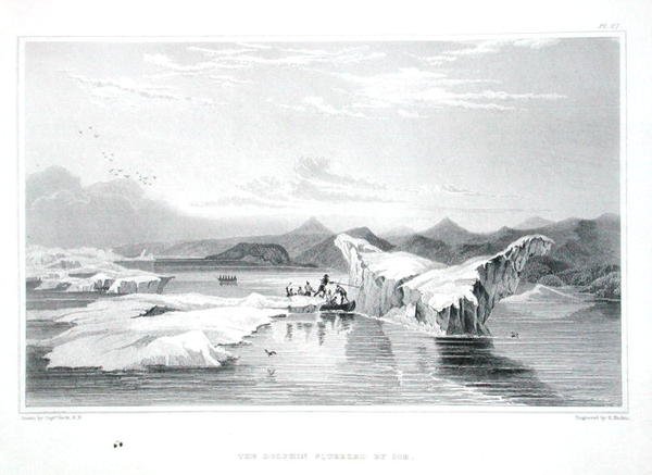 被冰块挤压的海豚，出自约翰-富兰克林爵士(1786-1847)的《1819-22年极地海岸之旅记》，由爱德华-芬登(1791-1857)雕刻，1823-28年出版(彩色雕刻) 作者 乔治（之后）返回