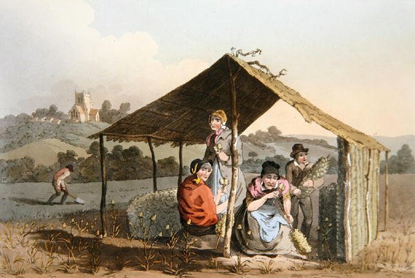 茶园，来自罗伯特-哈维尔（1769-1832）1814年雕刻的 "约克郡的服装"（彩色平印）。 作者 乔治（后）沃克
