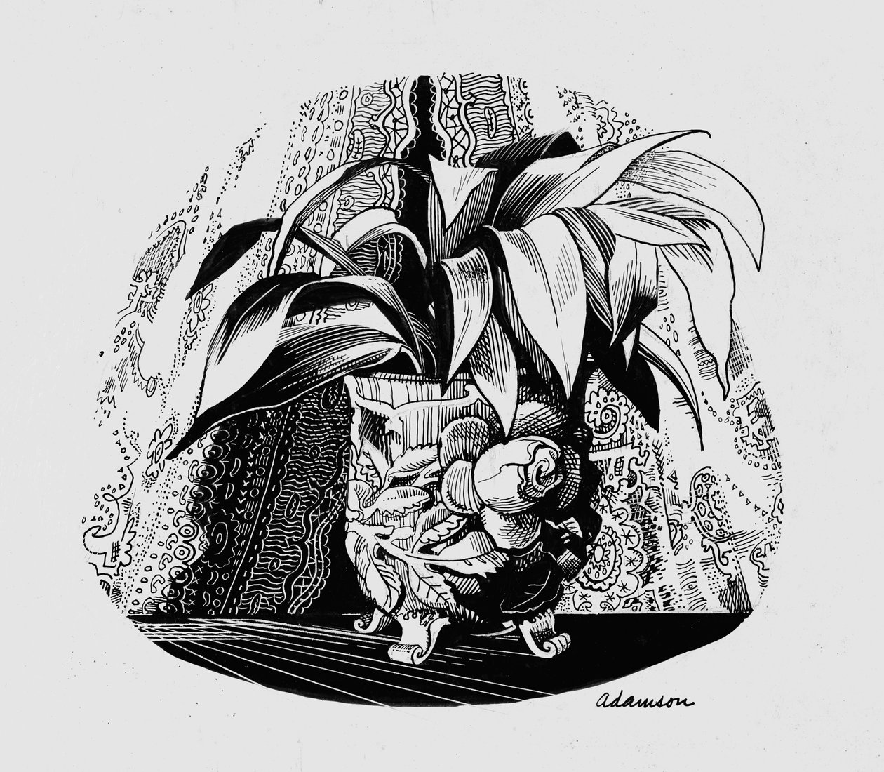 20世纪50年代的一个碗里的Aspidistra（刮板上的印度墨水） 作者 乔治·亚当森