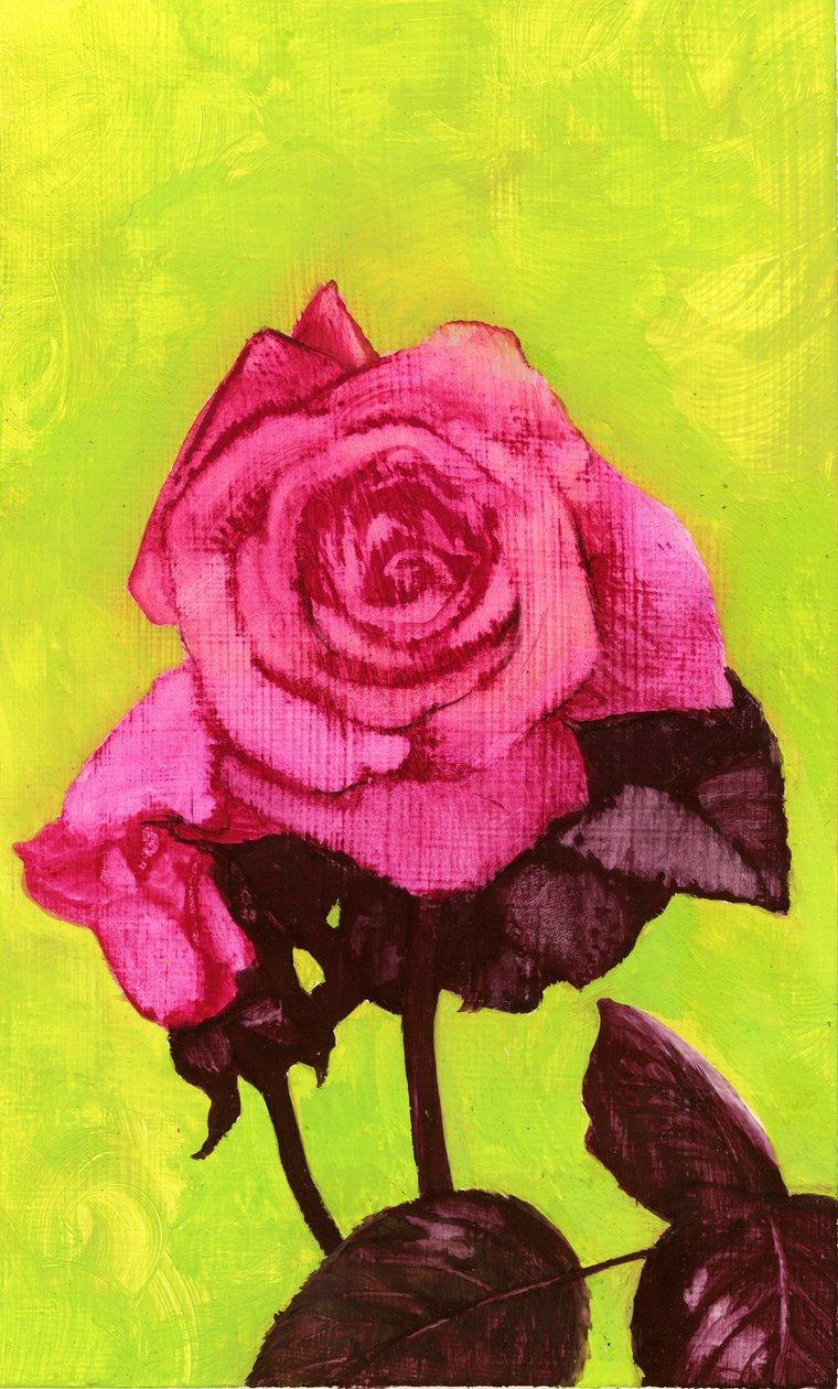 20世纪80年代的Bright Rose（gessoed硬质纤维板上的水粉） 作者 乔治·亚当森