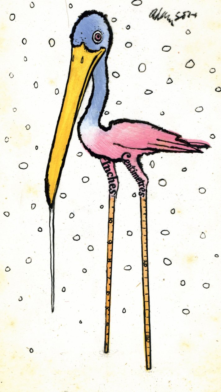 带有Calibrated Shanks的Stork，20世纪70年代（卡片上的水粉透明度上的inidan墨水） 作者 乔治·亚当森