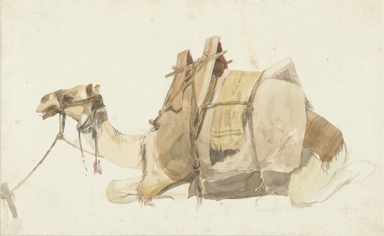 坐骑骆驼 作者 George Antoine Prosper Marilhat