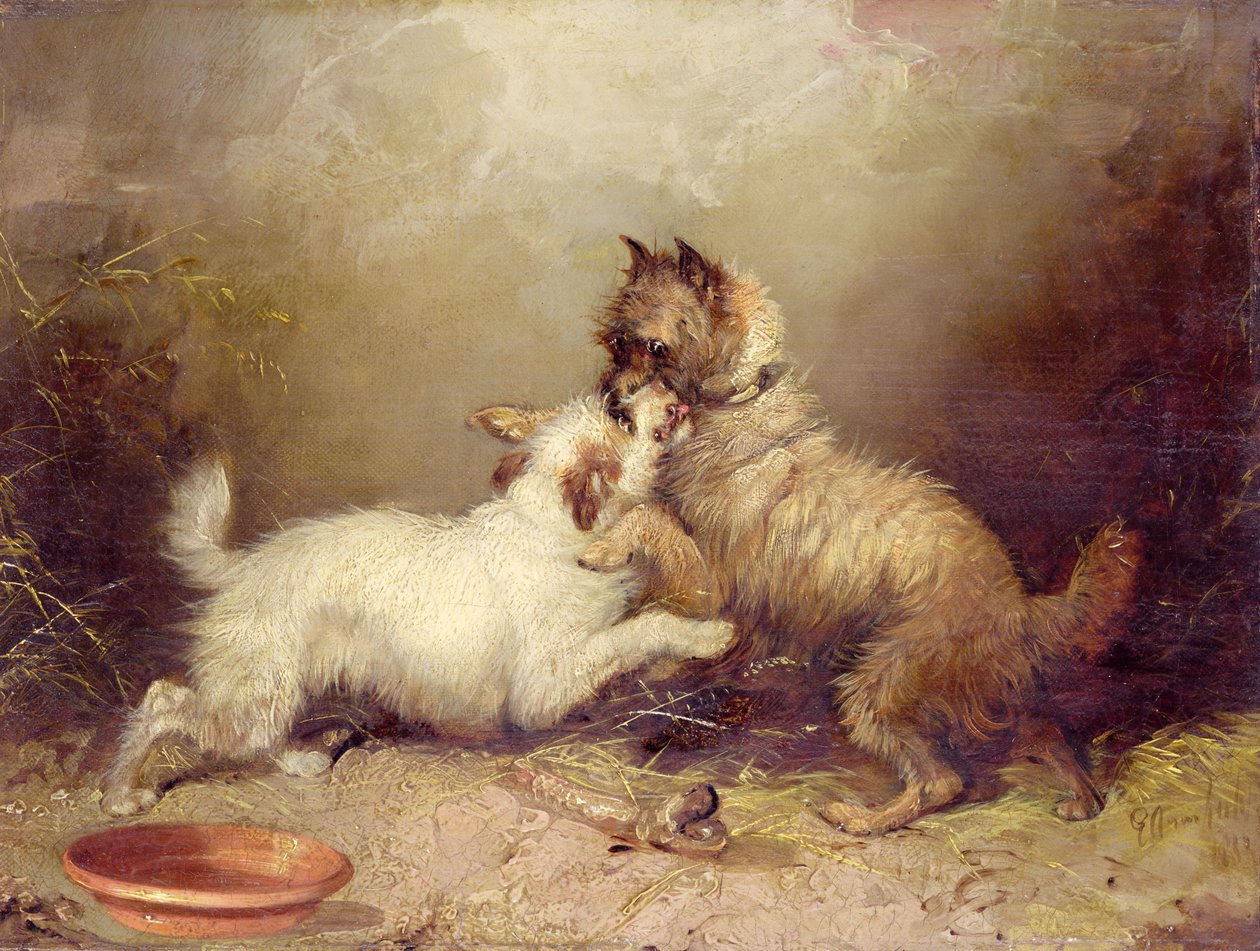 争议之骨 作者 乔治·阿姆菲尔德