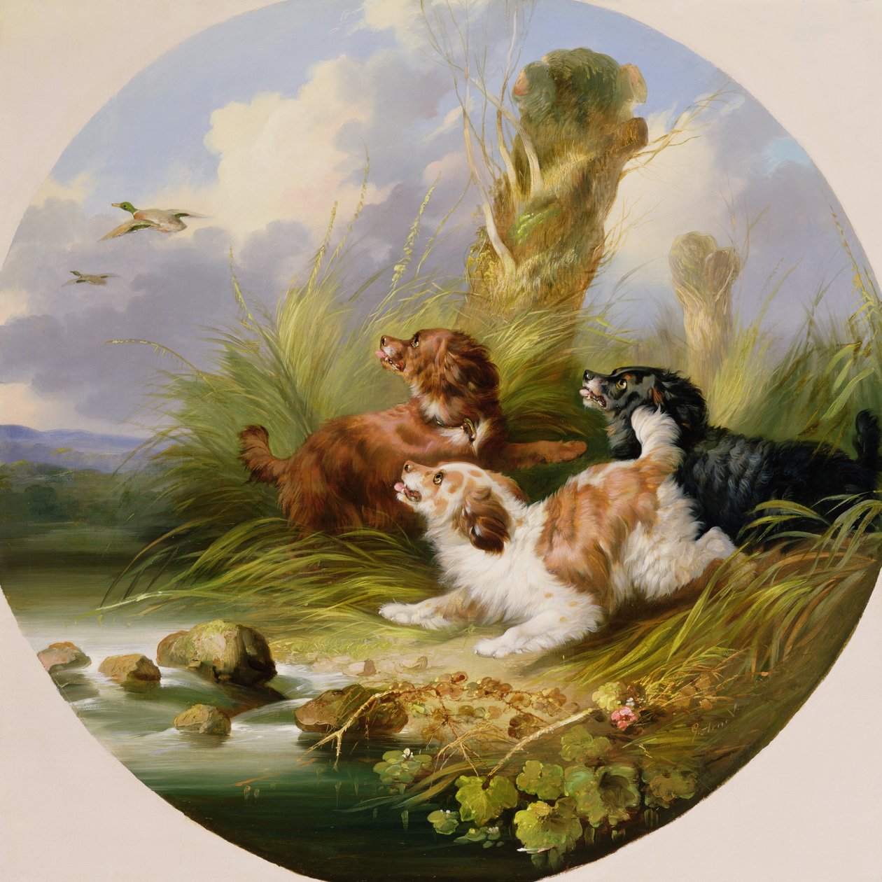 三只西班牙猎犬冲向野鸭（布面油画 作者 乔治·阿姆菲尔德