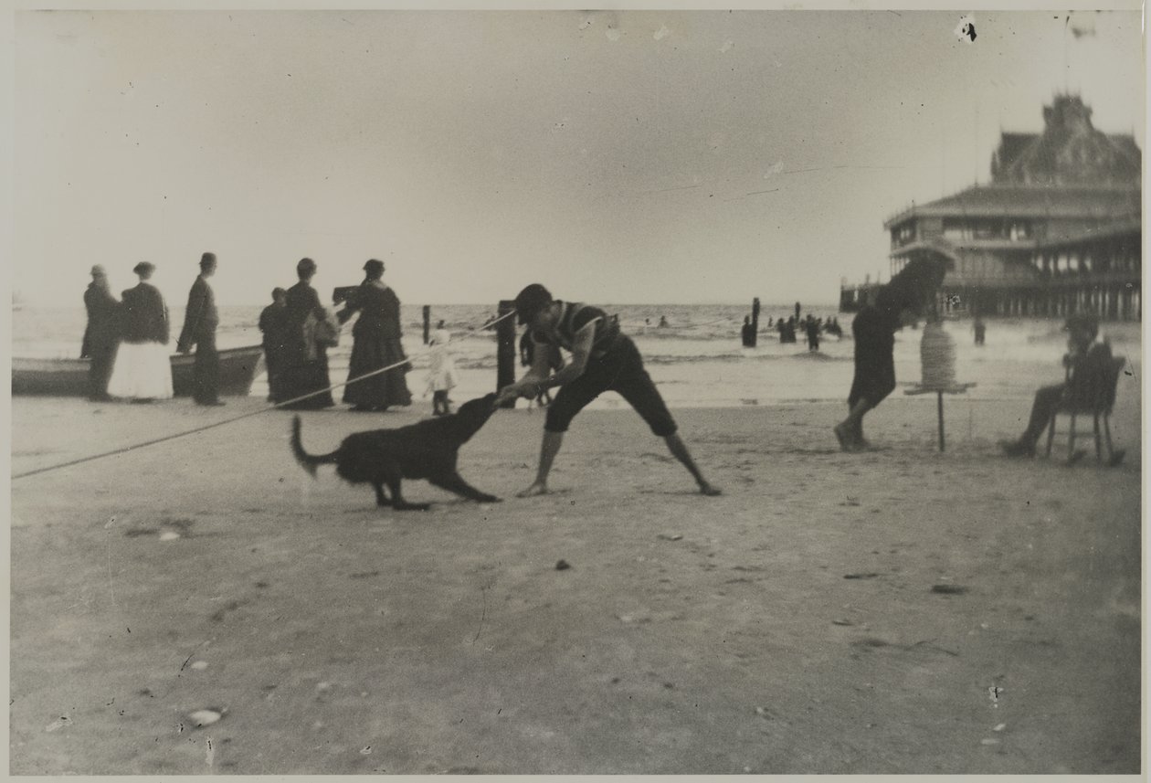 男孩和狗，铁码头，康尼岛，布鲁克林，c.1885（印刷明胶银印） 作者 乔治·布拉德福德·布雷纳德