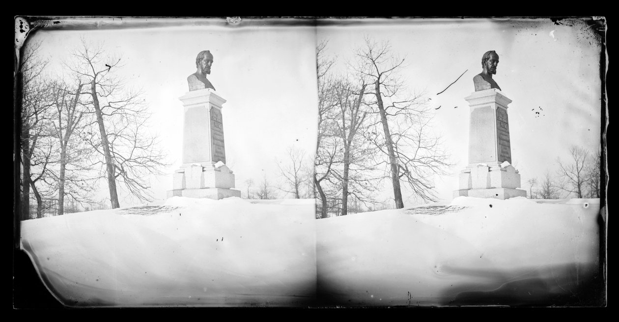Paynes bust，Prospect Park，Brooklyn，1872-87（湿火棉负片） 作者 乔治·布拉德福德·布雷纳德