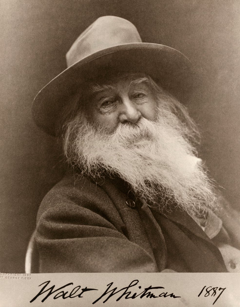 Portrait of Walt Whitman in 1887 作者 乔治·考克斯