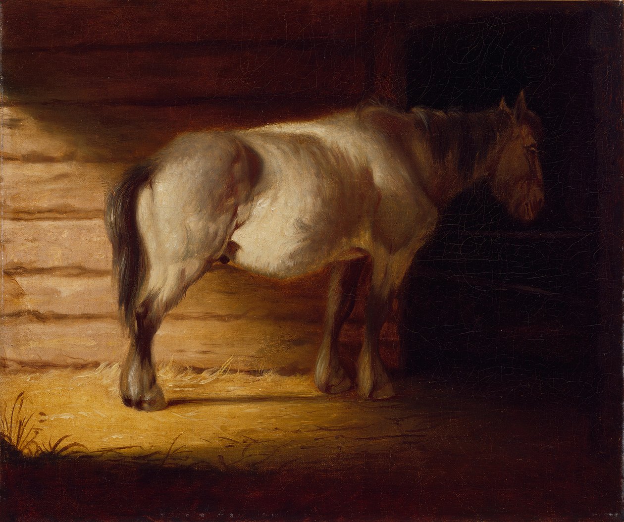老田间马，1856 年作（布面油画） 作者 乔治·卡勒布·宾汉