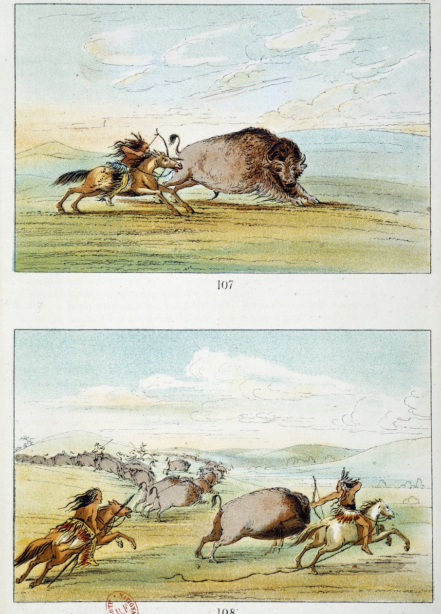 美国印第安人：野牛狩猎。乔治-卡特林（1794-1872）的插图 作者 乔治·卡特琳