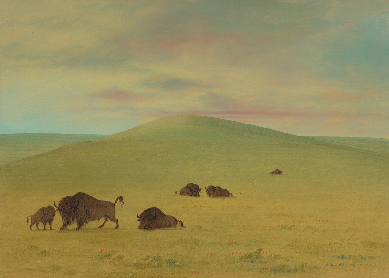 美国牧业--普拉蒂草原，1861-869年。 作者 乔治·卡特琳