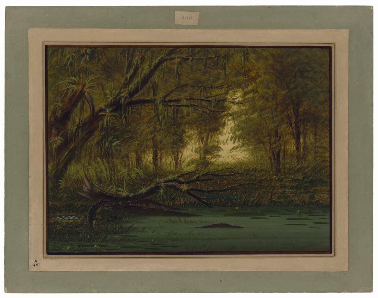  作者 乔治·卡特琳