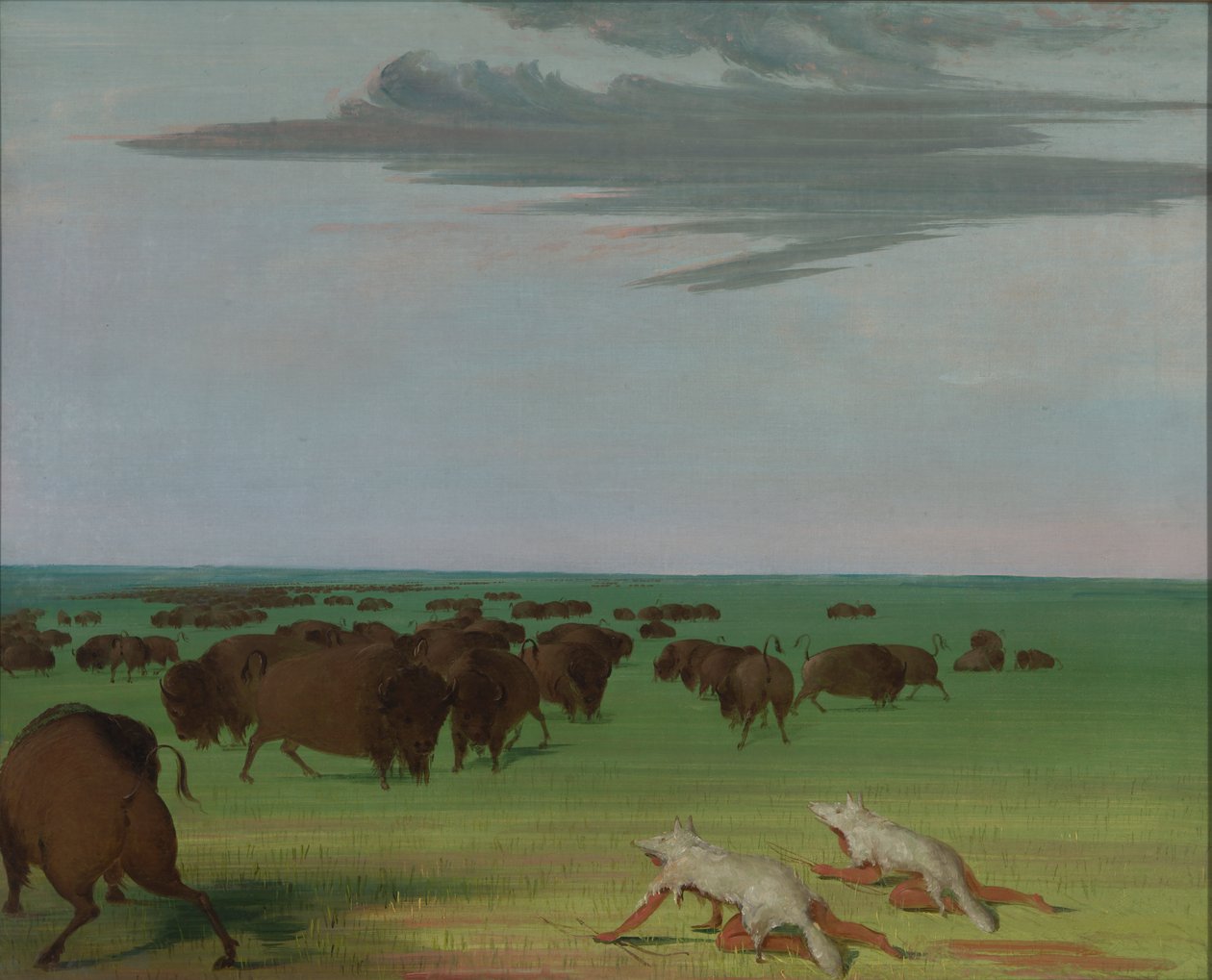 狼皮面具下的水牛狩猎，1832-1833。 作者 乔治·卡特琳