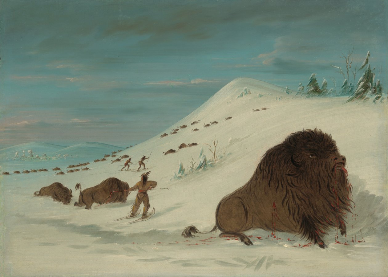 水牛在雪地上漂流--苏族，1861-869。 作者 乔治·卡特琳
