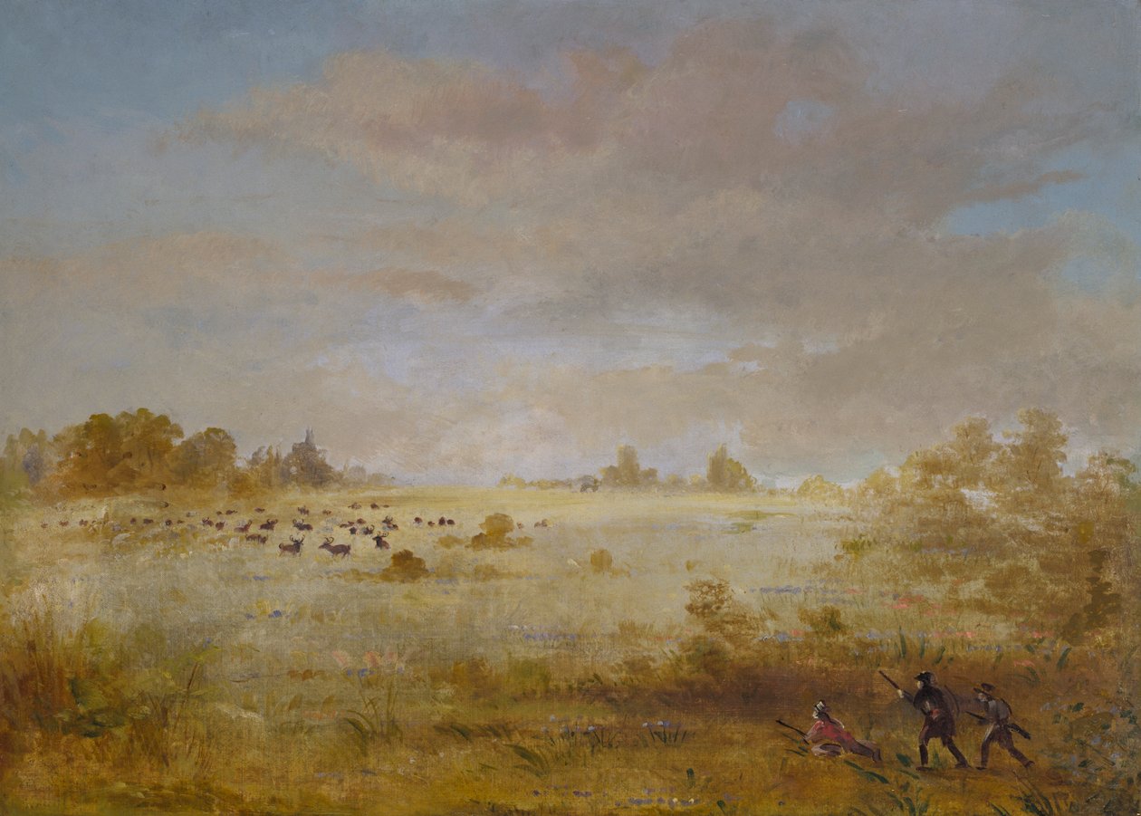 麋鹿在秋天的草原上吃草，1846-1848。 作者 乔治·卡特琳