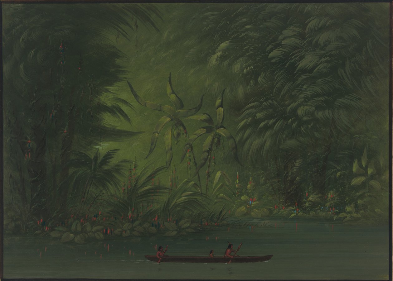 亚马逊河畔泻湖的入口，1854年至1869年。 作者 乔治·卡特琳