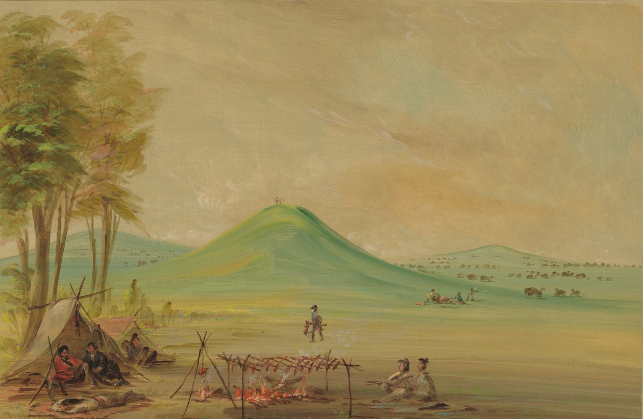 驻扎在德克萨斯大草原上的远征队。1686年4月，18471848年。 作者 乔治·卡特琳