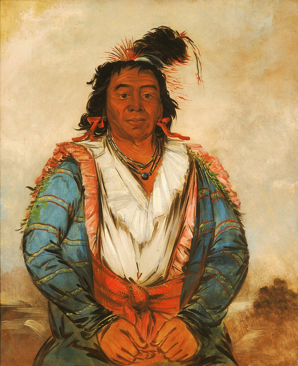 Hose-put-o-káw-gee，一个勇敢的人，1834年。 作者 乔治·卡特琳