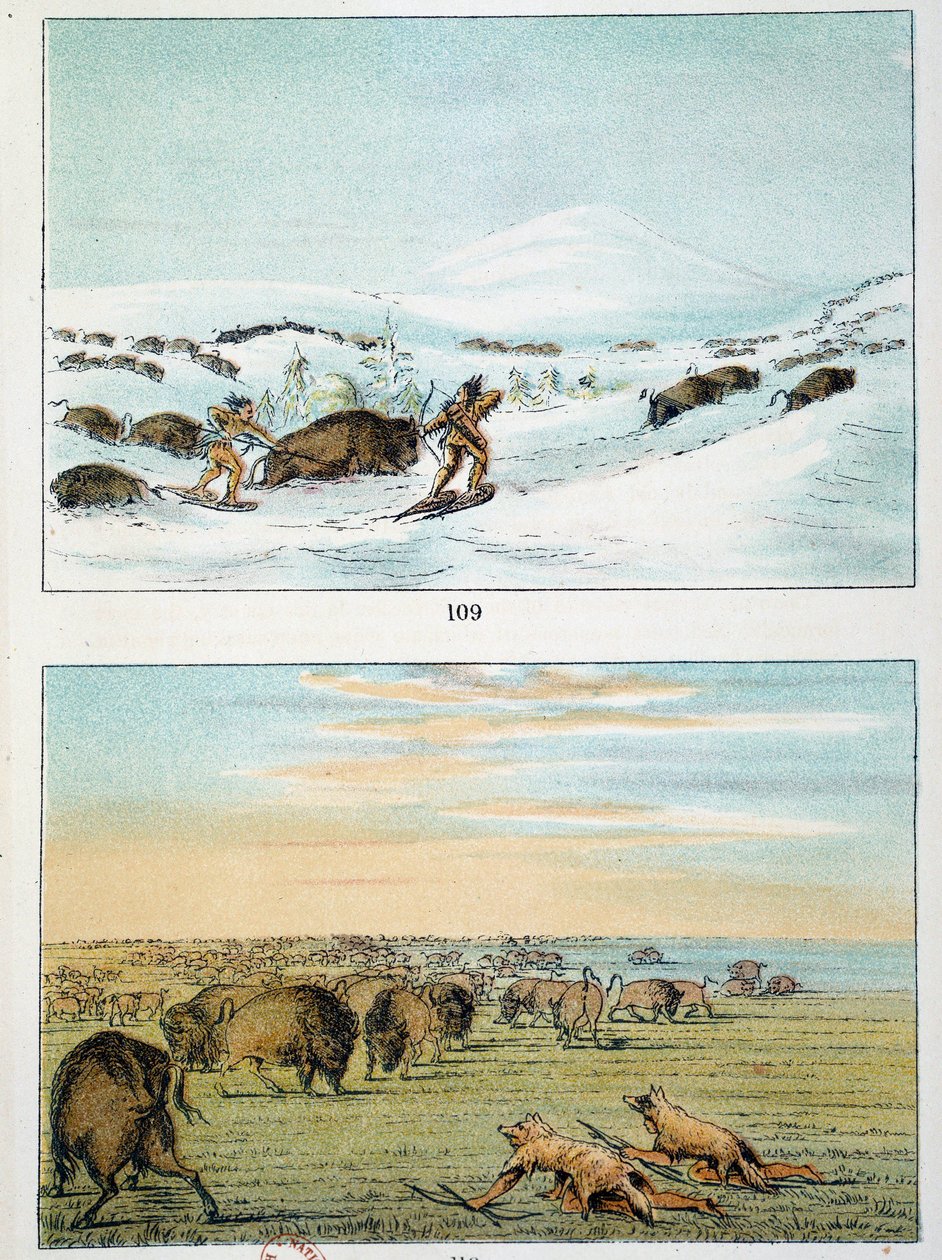美国的印第安人。猎取野牛。印第安人在冬天穿雪鞋打猎，夏天用狼皮遮盖自己。乔治-卡特林（1794-1872）的插图 作者 乔治·卡特琳