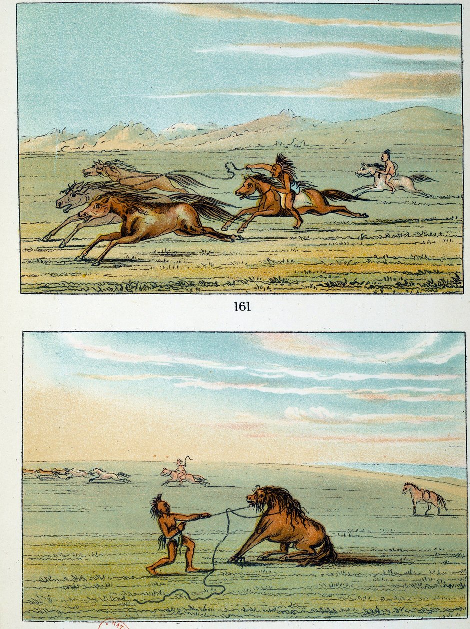 美国的印第安人：如何捕捉野马。乔治-卡特林（1794-1872）的插图 作者 乔治·卡特琳