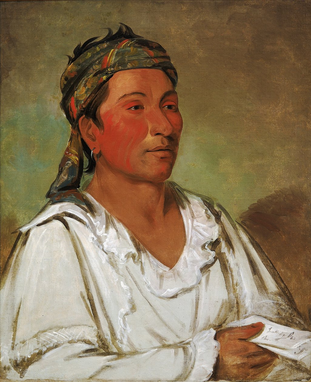 Lay-lóo-ah-pee-ái-shee-kaw，草地、灌木丛和花朵，半开化语言 作者 乔治·卡特琳
