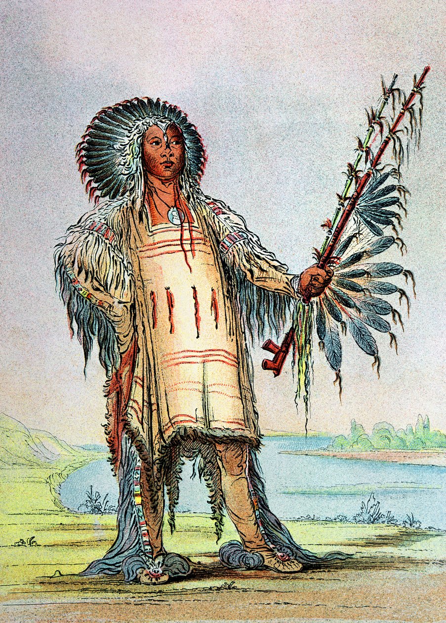 狼首席Mandan Indian Ha-Na-Tah-Muah 作者 乔治·卡特琳