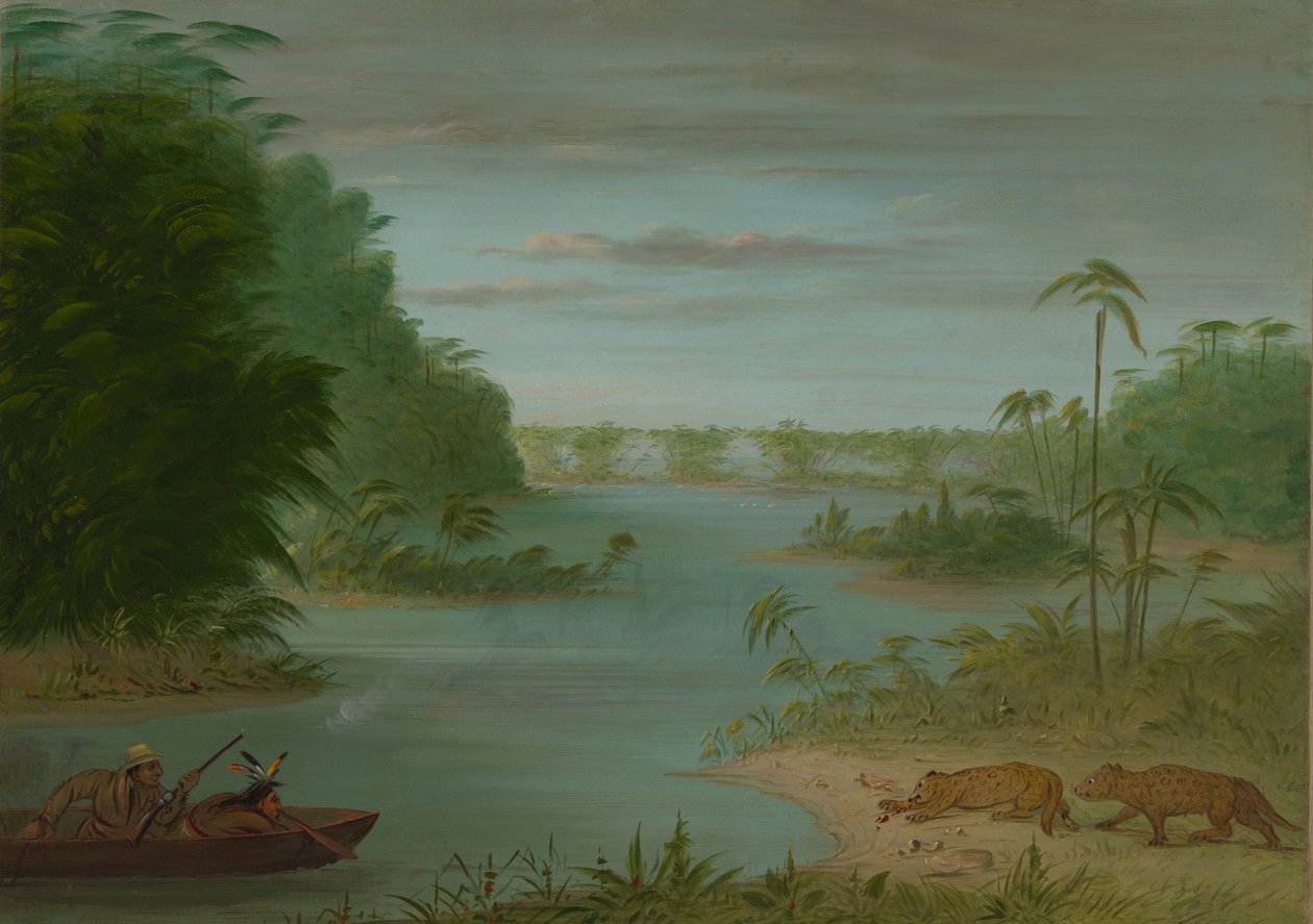 帕尔米耶桥和老虎射击，1854-1869。 作者 乔治·卡特琳