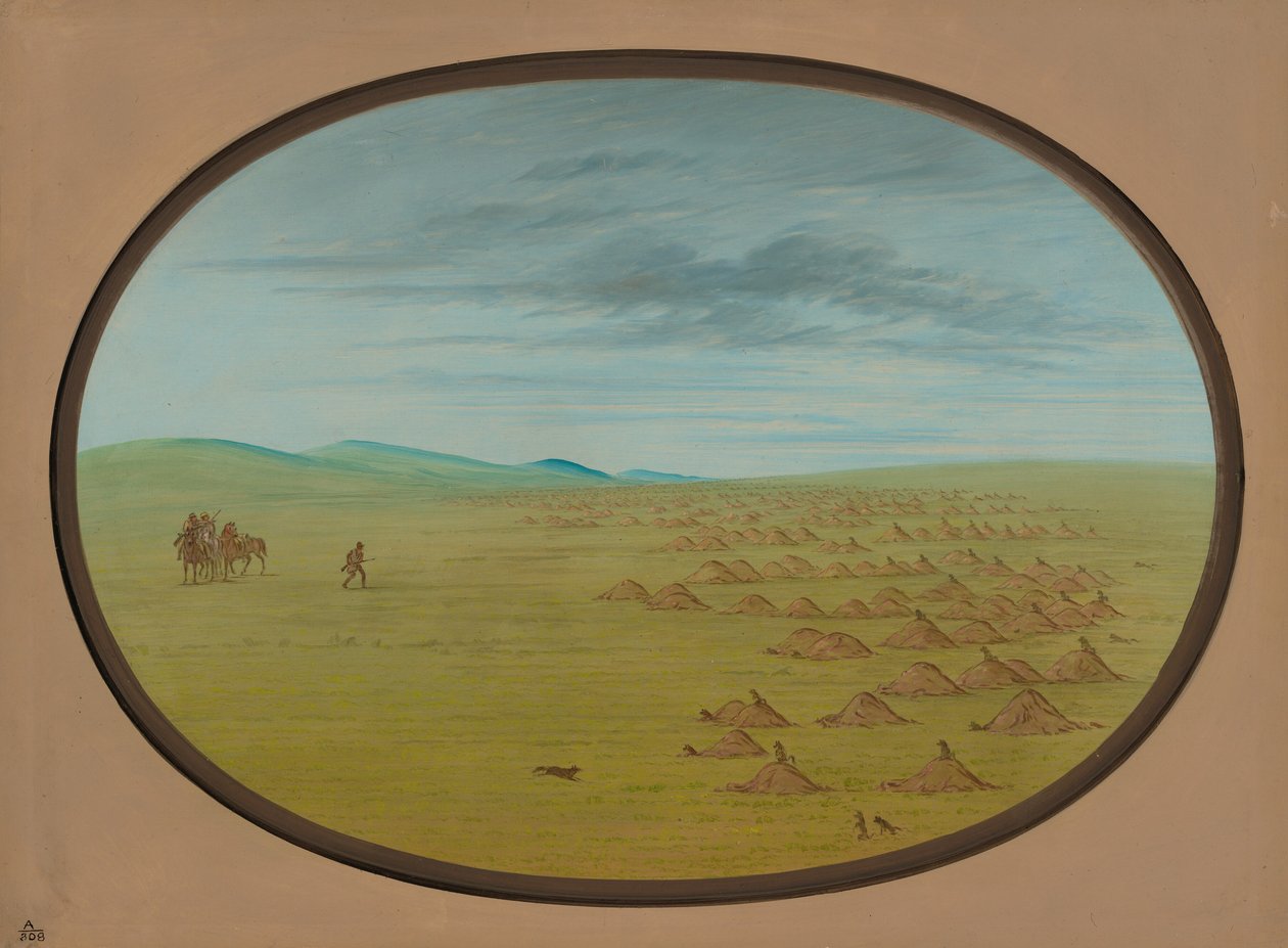 草原狗村，18611869。 作者 乔治·卡特琳