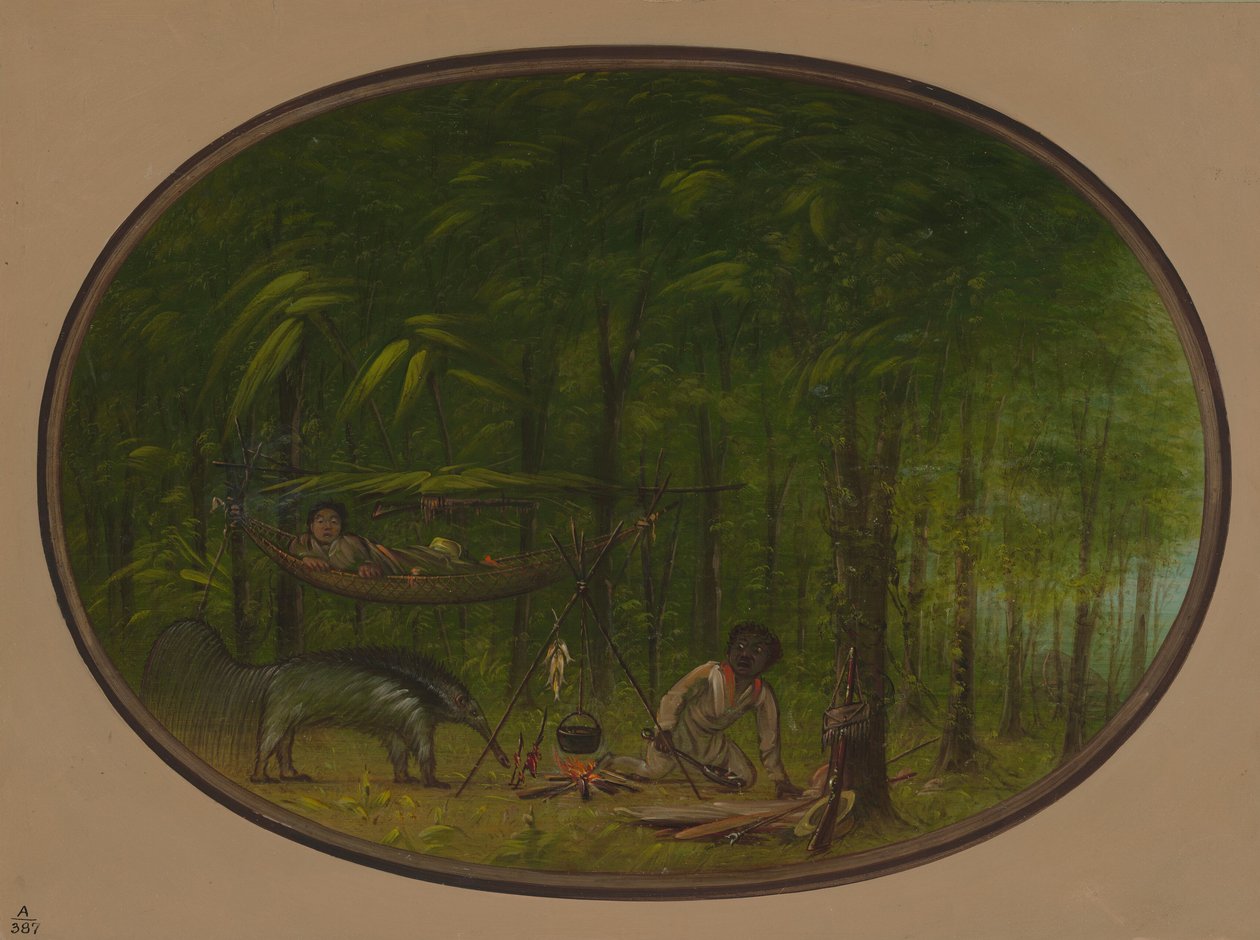 大食蚁兽，1854-1869。 作者 乔治·卡特琳