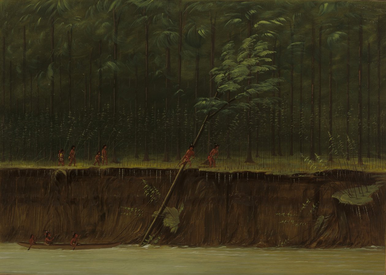 密西西比河下游的景色，1861-869年。 作者 乔治·卡特琳