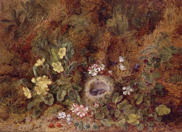 燕窝和野花的静物画 作者 乔治·克莱尔