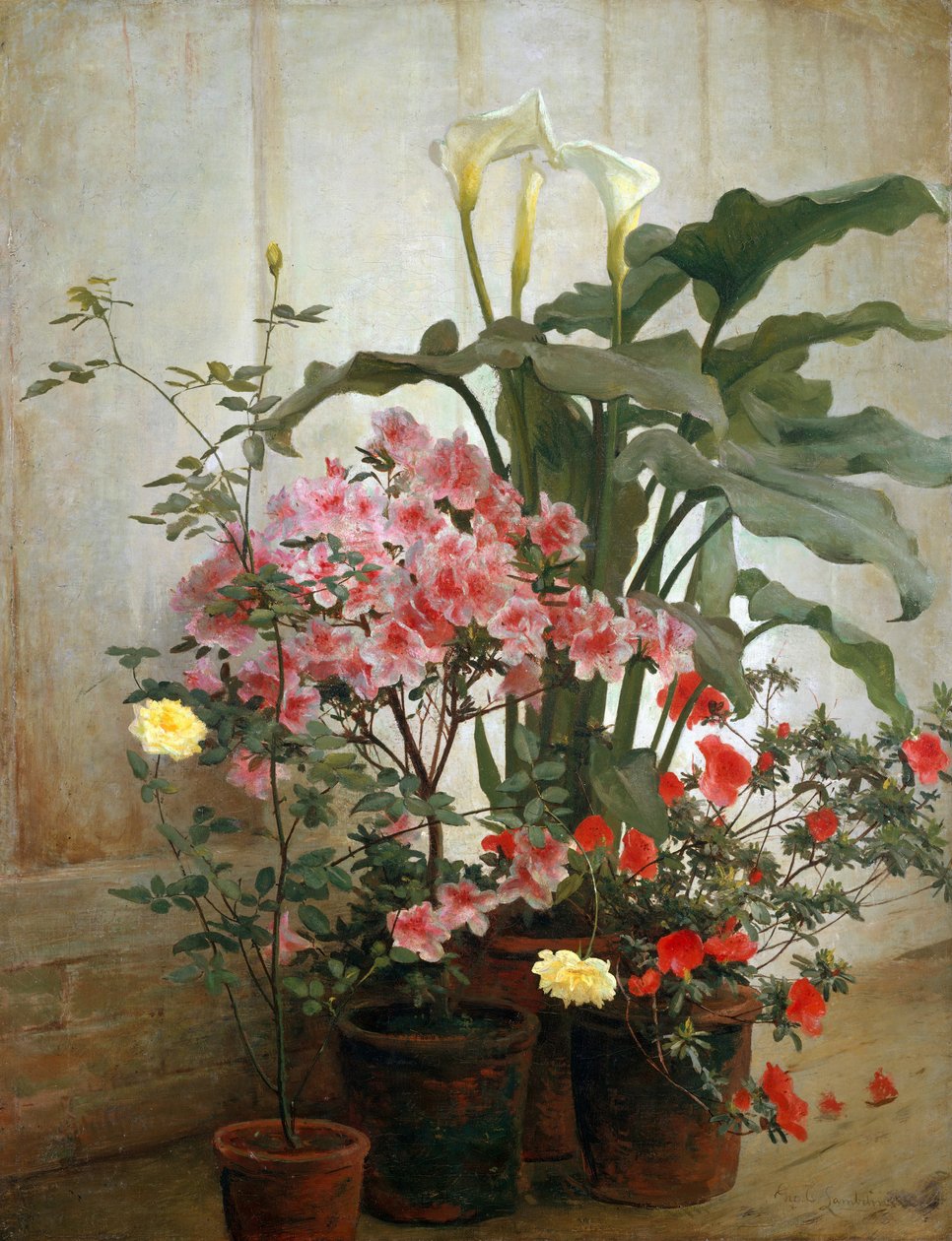 温室一侧，1870-80年。 作者 乔治·科克兰·兰丁