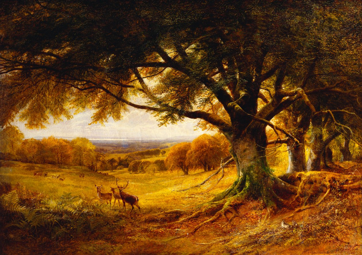 萨皮克斯，Uppark，苏塞克斯，1868年 作者 乔治·科尔