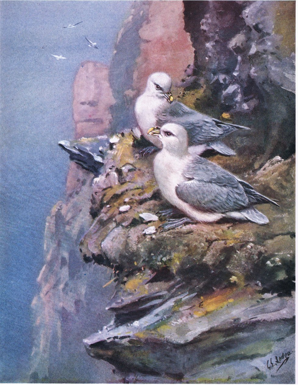  作者 乔治爱德华旅馆