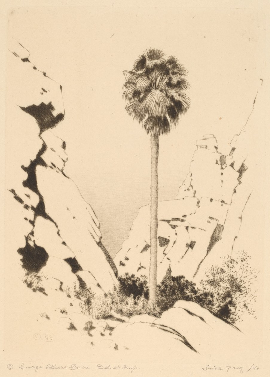 棕榈峡谷 (No.1) 作者 乔治·埃尔伯特·布尔